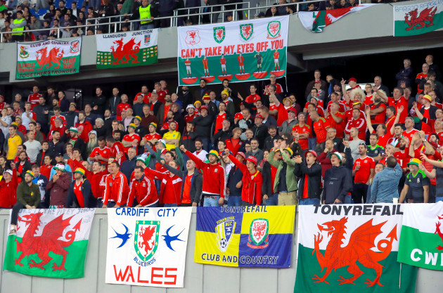 Georgia v Wales - 2018 FIFA World Cup Qualifying - Group D - Boris Paichadze Dinamo Arena
