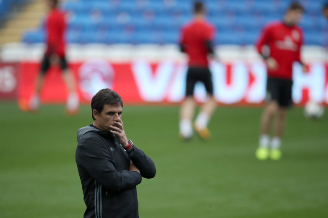 Wales Training and Press Conference - Cardiff City Stadium