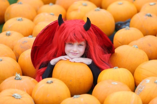 Tayto Park Halloween Ghost Hunters