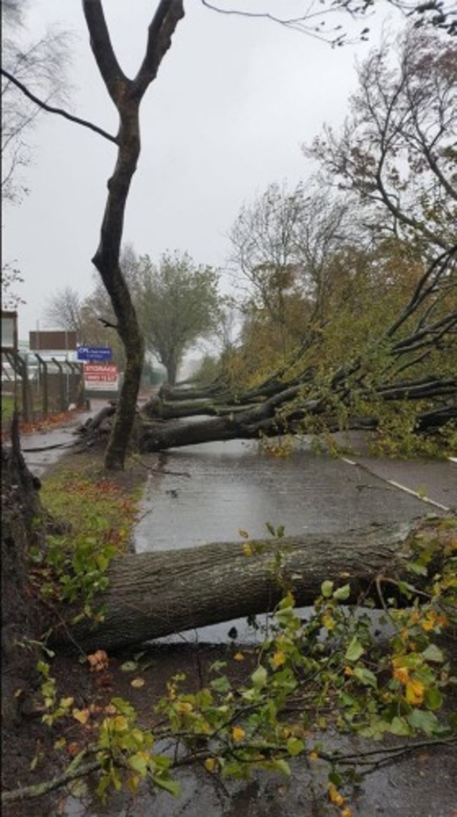 Ciaran Mulroy Centre Park Road Cork