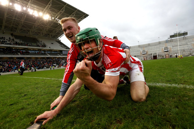 Seamie Harnedy celebrates after the game
