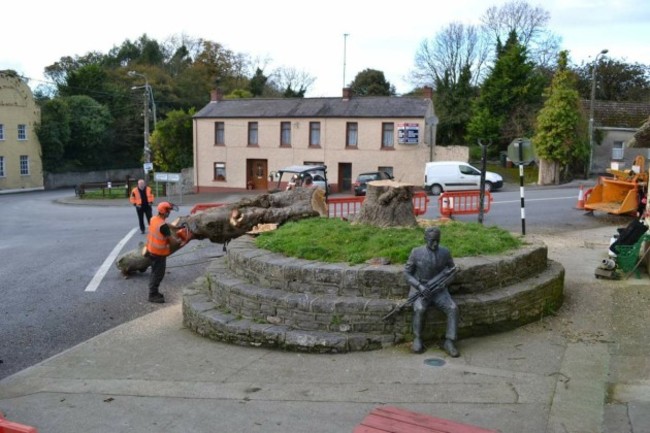 Tree after being felled