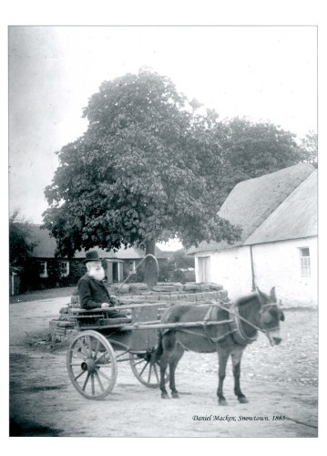 The Naul Chestnut Tree 1885 resized