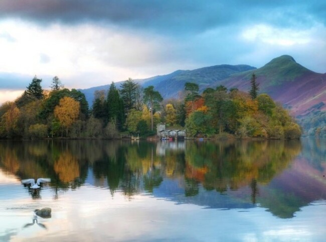 LANDSCAPE
