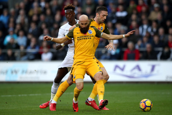 Swansea City v Brighton and Hove Albion - Premier League - Liberty Stadium