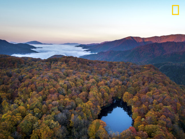 The dawn on the colored forest