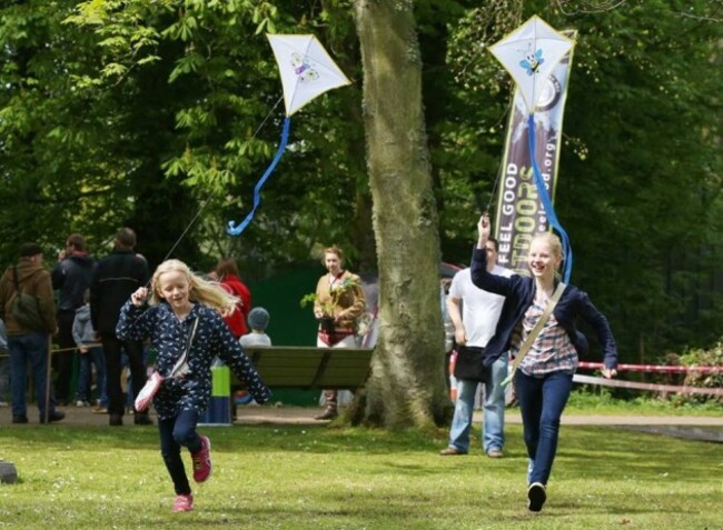 Go Fly Your Kite 1
