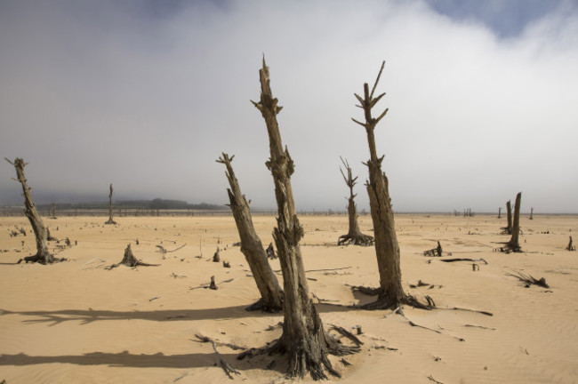 Dryness in Cape Town