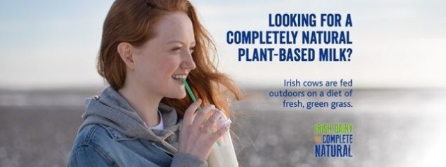 plant based milk