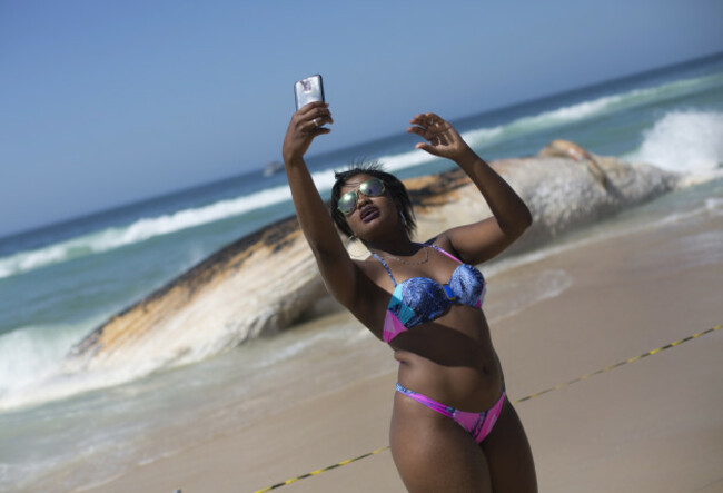 Brazil Beached Whale