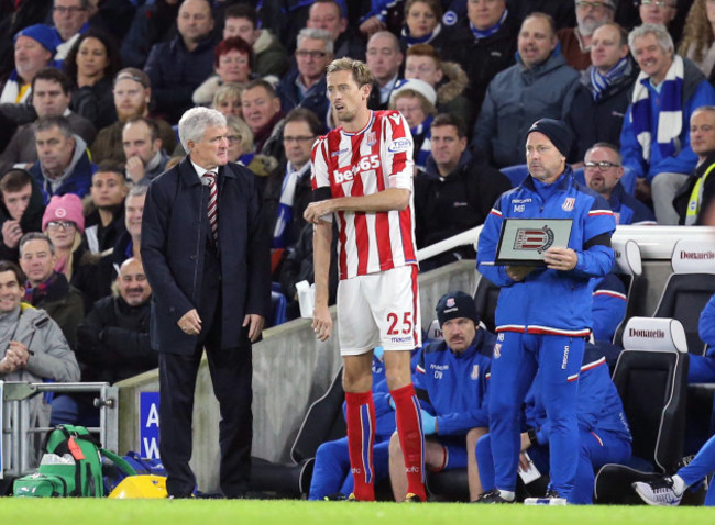 Brighton and Hove Albion v Stoke City - Premier League - AMEX Stadium