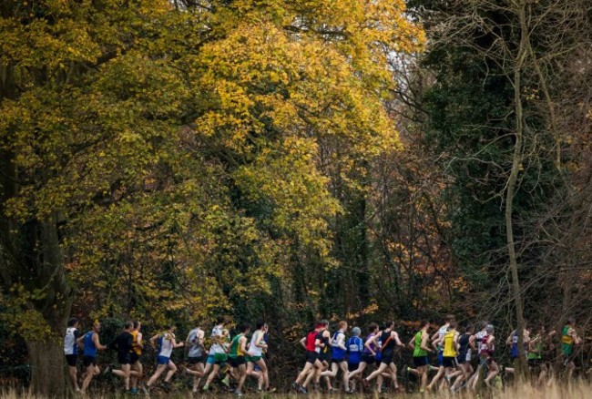 A general view of the Senior Men's National Country Championships