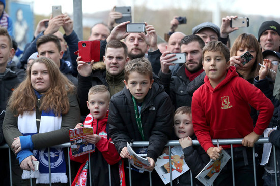 Brighton and Hove Albion v Liverpool - Premier League - AMEX Stadium