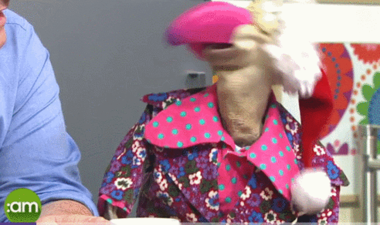 Dustin The Turkey Made A Gas Return To Television To Discuss His New Book On Saturday Am