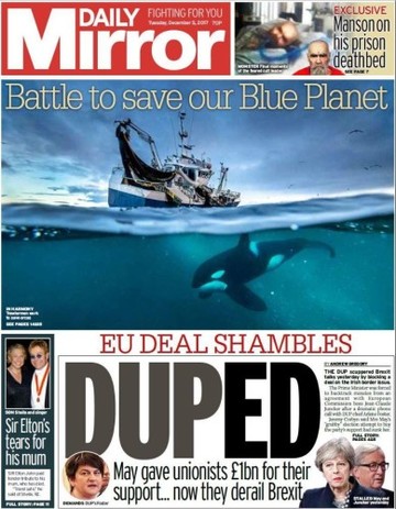 duped daily mirror