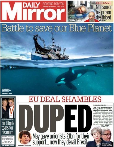 duped daily mirror