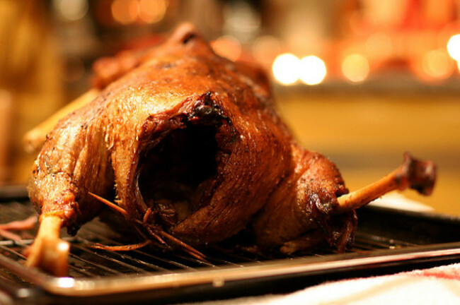 77490884_a897ff0b6a_z