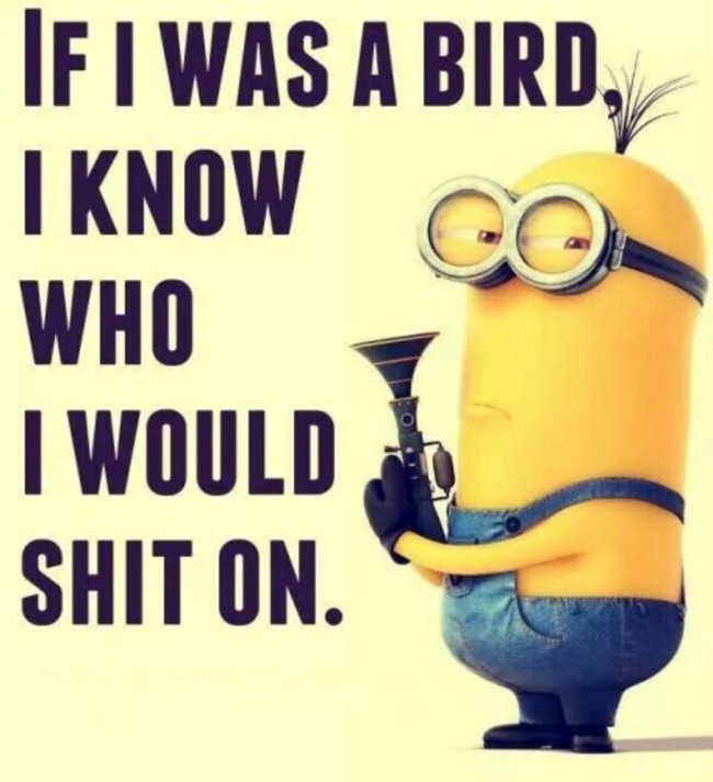 Top-40-Funniest-Minions-Memes-meme