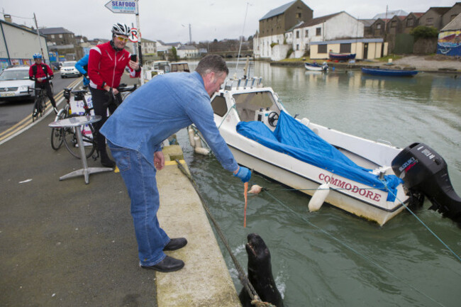 Sammy the seal Wicklow town 3