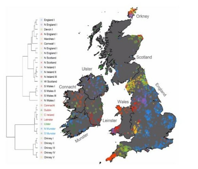 genetic map