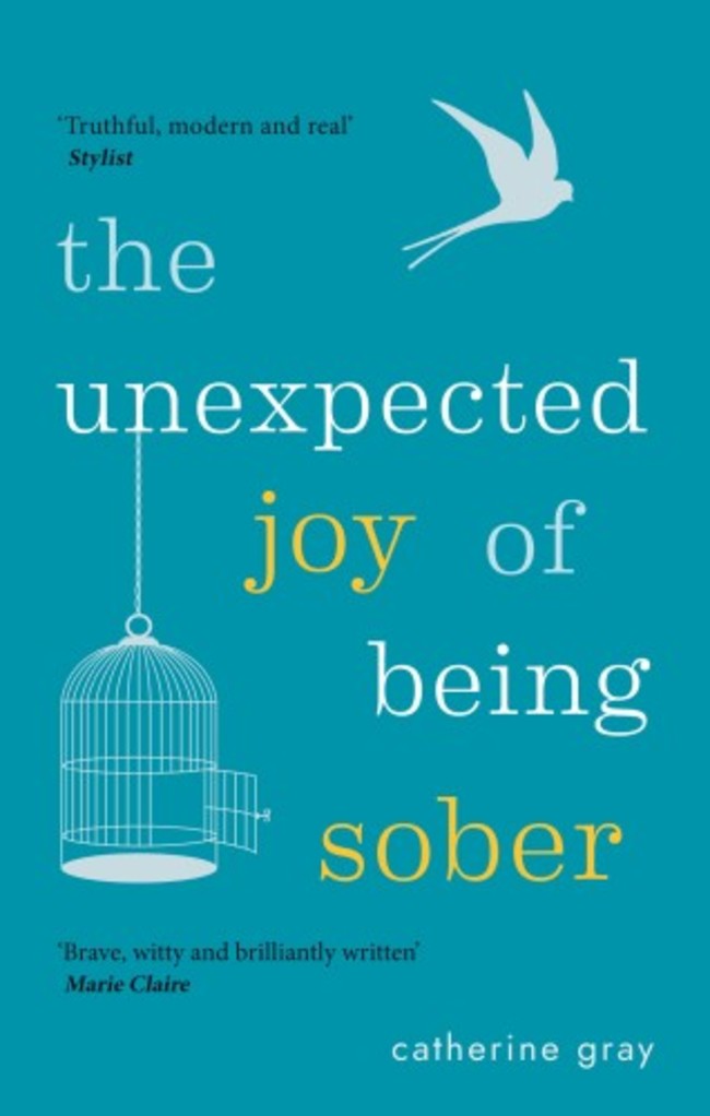 The Unexpected Joy of Being Sober 9781912023387