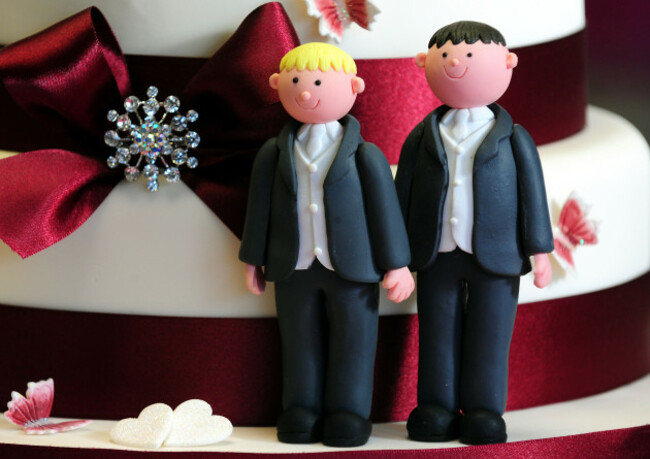 Gay marriage proposals