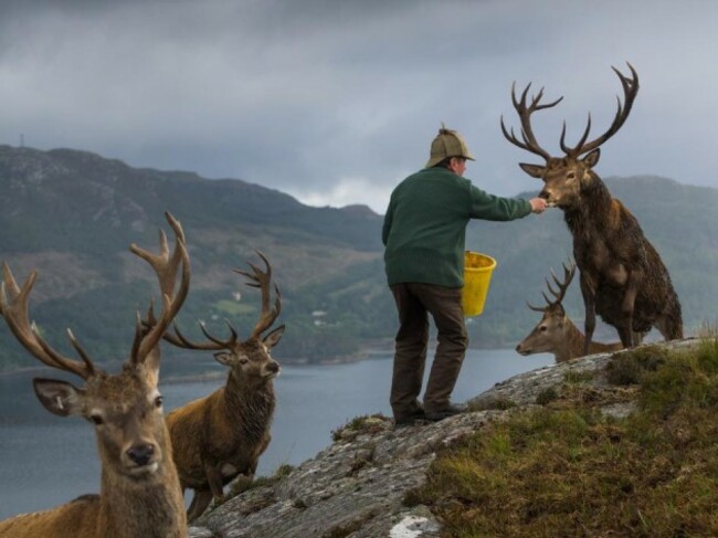 04-best-7-scottish-moors-deer-forest-antlers-estate-stalking.adapt.945.1
