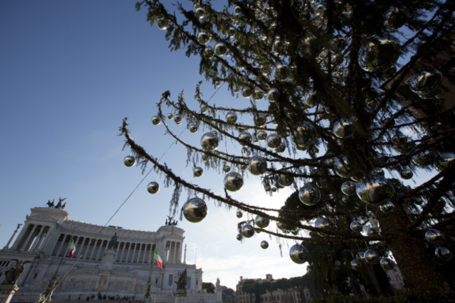 Italy Christmas Tree Needling
