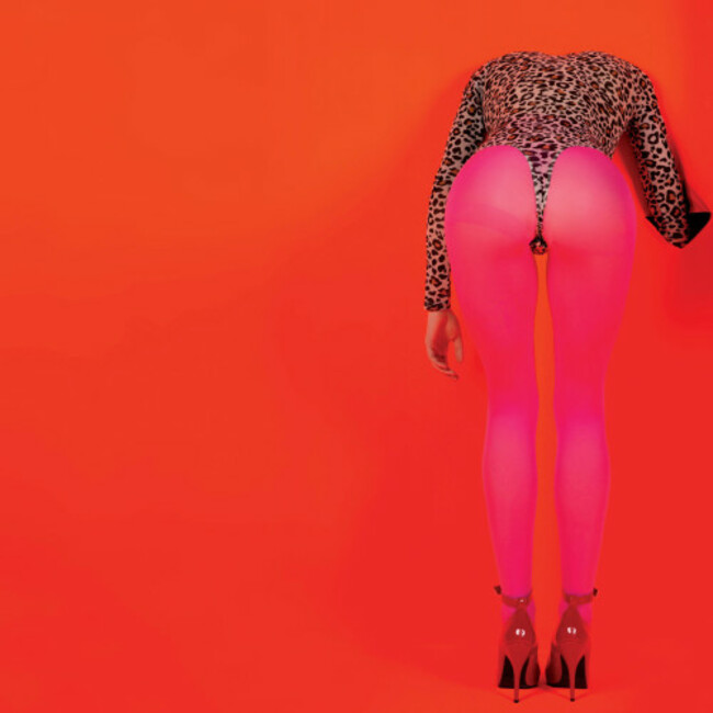 St Vincent Masseduction Art