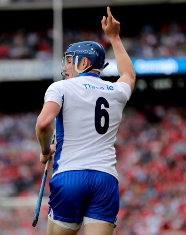 Austin Gleeson celebrates scoring a point