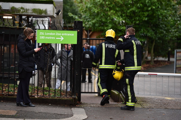 Fire at London Zoo