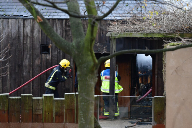 Fire at London Zoo