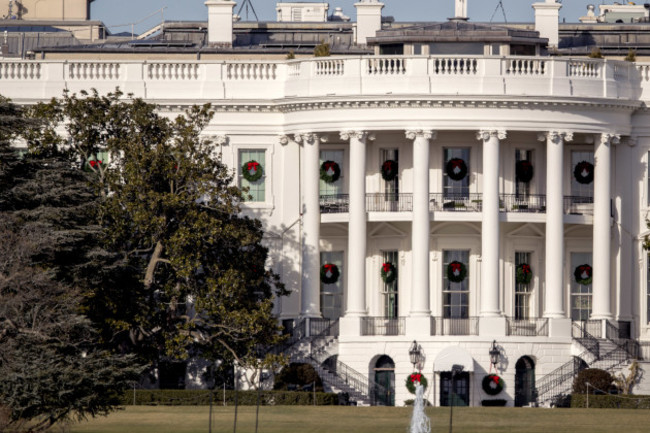 White House Magnolia Tree