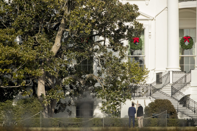White House Magnolia Tree