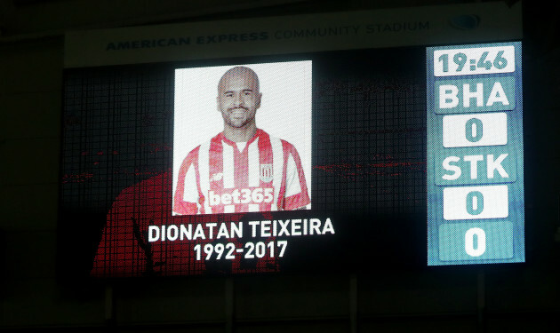 Brighton and Hove Albion v Stoke City - Premier League - AMEX Stadium