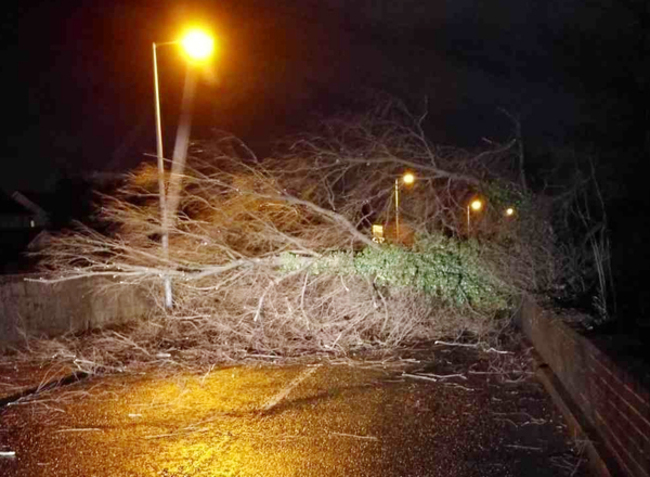 Storm Eleanor damage