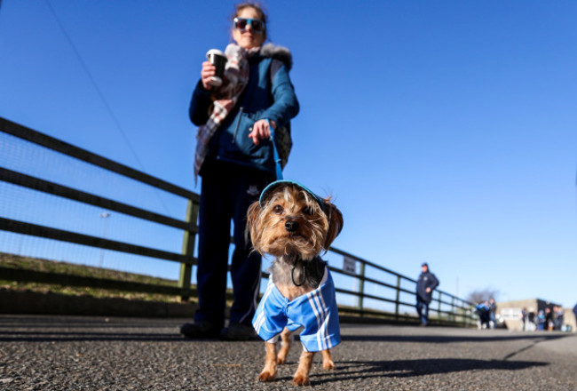 Dublin supporters Maria Farrell and Marley