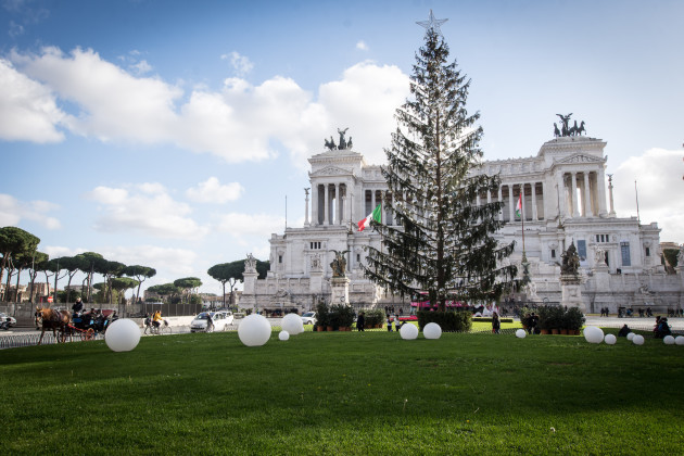 Italy: The Christmas tree of Rome Renamed 'Spelacchio'