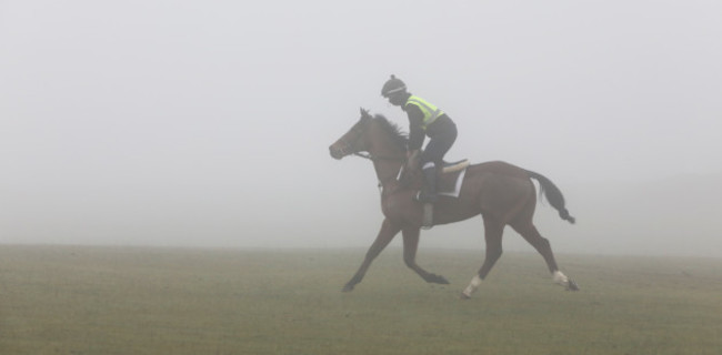 FOG ON THE CURRAGH II2A1904_90533879