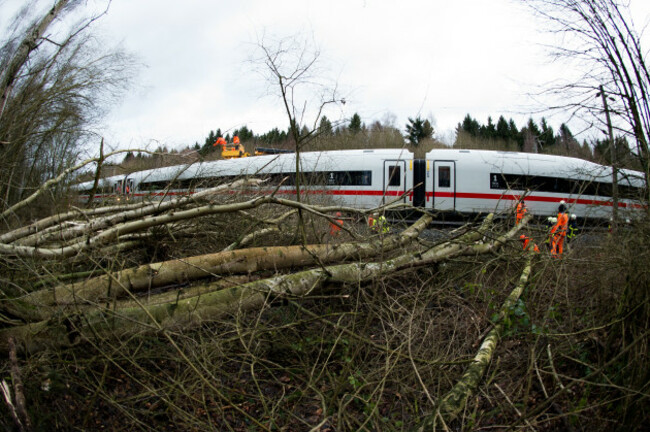 Storm Friederike - Upper Harz