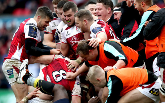 Nick Timoney celebrates his try with teammates