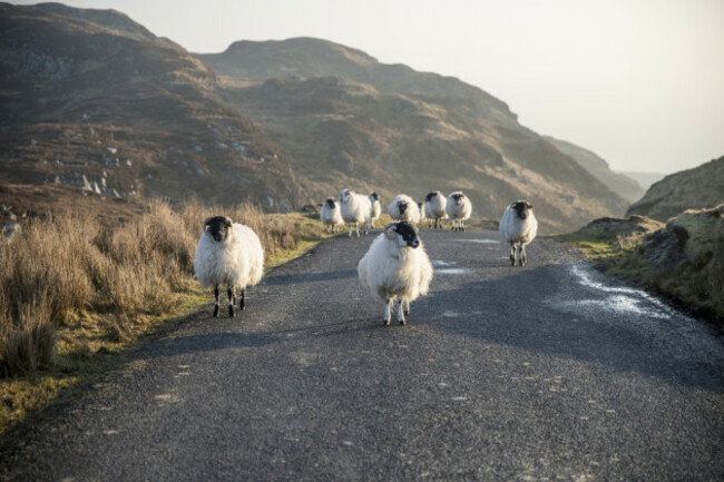 shutterstock_403174960