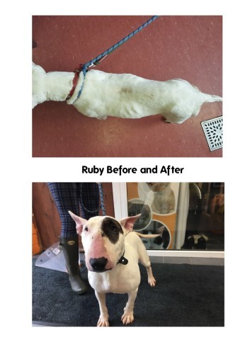 ruby before and after2