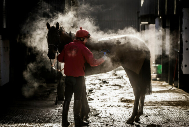 Jordan Hart wipes down Make it Hurrah after a run on the gallops