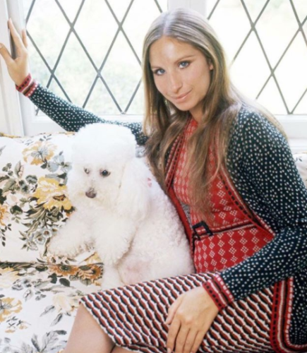 Barbra Streisand Has Revealed That She Cloned Her Beloved Dog Twice ...