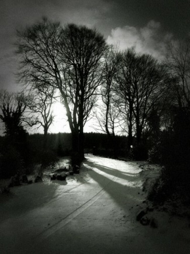 Dramatic Black & White_1519895270012
