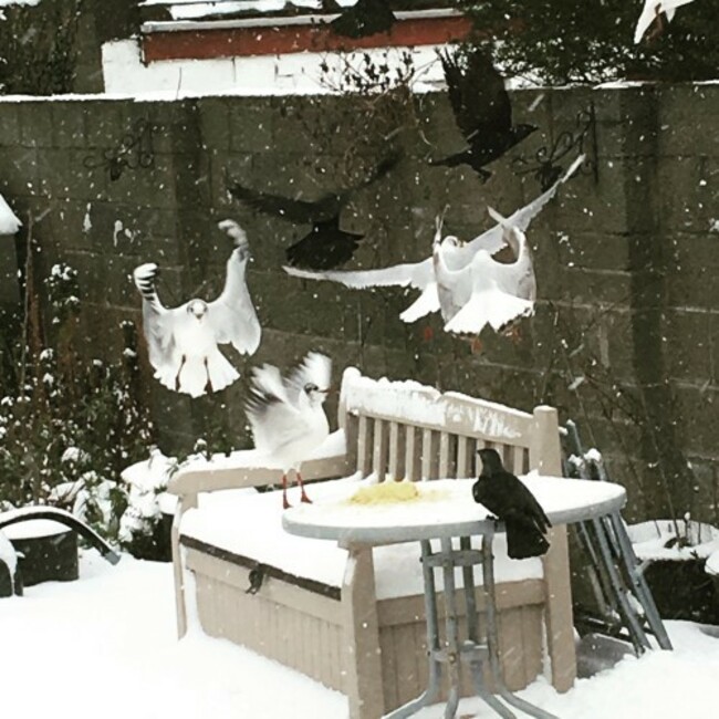 original (4)