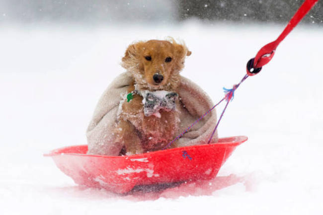 Storm Emma Meets The Beast From The East Bringing Further Snow Chaos To The UK