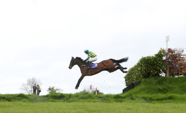 Punchestown Festival - Day Three - Ladbrokes Champion Stayers Hurdle Day