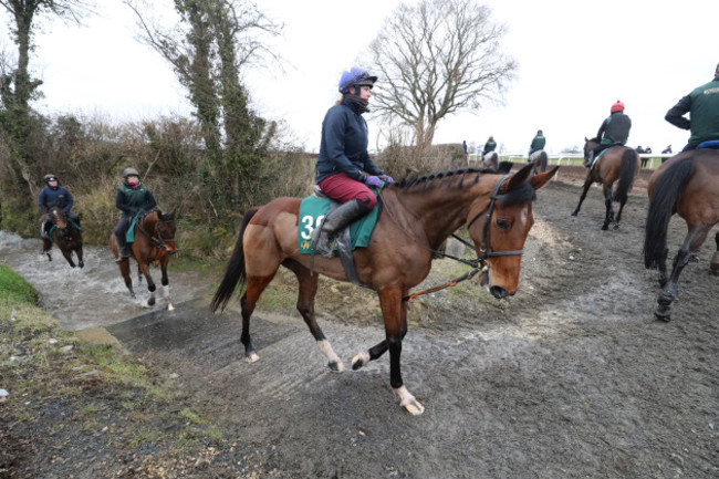 Willie Mullins Stable Visit